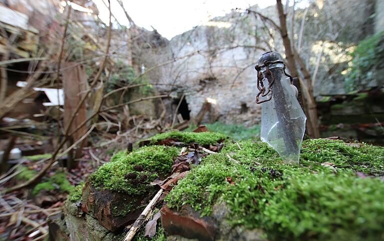 Poesie des Verfalls: Längst hat hier die Natur wieder die Oberhand gewonnen.