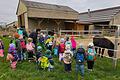 Die Abenteurer aus dem Kindergarten Michelau bei Familie Bedenk und ihren drei Eseln in Schallfeld.
