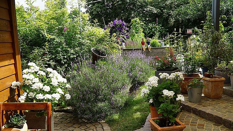 Wie aus dem Bilderbuch präsentiert sich der naturnah gestaltete Garten von Hildegard und Manfred Ruf. Wie aus dem Bilderbuch präsentiert sich der naturnah gestaltete Garten von Hildegard und Manfred Ruf.