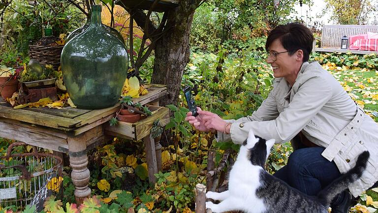 Stimmungsvolle Szenen in ihrem Naturgarten fängt Birgit Helbig mit Handyfotos und -videos ein und postet sie auf Instagram. Katze Susi ist immer dabei.