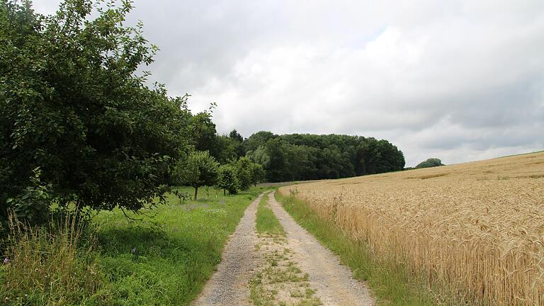 Bei Spaziergängern beliebt ist das idyllische Muckenbachtal bei Darstadt. Der Weg würde später an einem Teil des Solarparks entlang führen. Bei Spaziergängern beliebt ist das idyllische Muckenbachtal bei Darstadt. Der Weg würde später an einem Teil des Solarparks entlang führen.