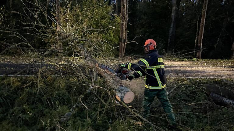 Auf der Straße wurde der Baum fachmännisch zerteilt.