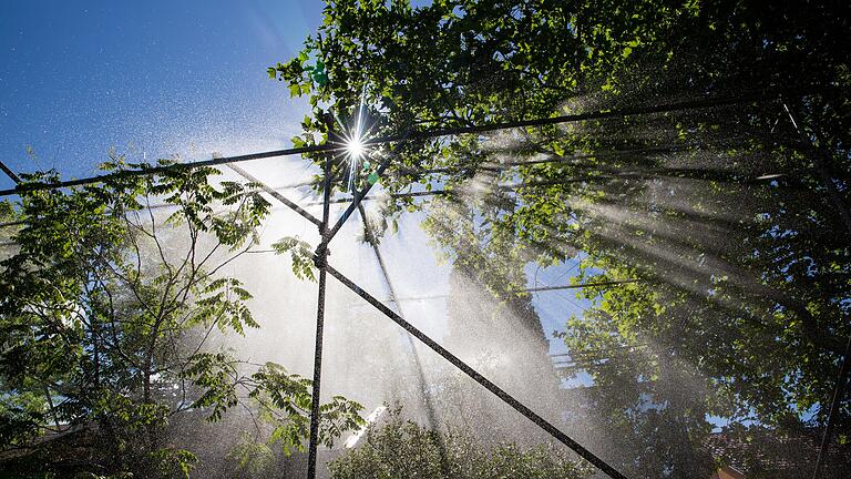 Mehr Abkühlung und weniger Wasserverbrauch: Wie sollten Gärten in Zeiten des Klimawandels gestaltet werden?&nbsp;