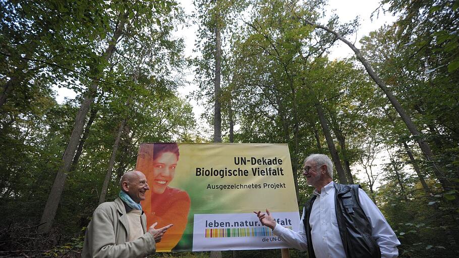 Die UN-Dekade Biologische Vielfalt hat den Bad Kissinger Wald für die Seele als offizielles Projekt vorgestellt und auf diese Weise ausgezeichnet. Unser Bild zeigt Dr. Joachim Galuska, Initiator des Waldes für die Seele, und Hans Scholten, Mitglied der Jury, die den Wald für die Seele einstimmig als Projekt der UN-Dekade ausgewählt hat.  Siegfried Farkas       -  Die UN-Dekade Biologische Vielfalt hat den Bad Kissinger Wald für die Seele als offizielles Projekt vorgestellt und auf diese Weise ausgezeichnet. Unser Bild zeigt Dr. Joachim Galuska, Initiator des Waldes für die Seele, und Hans Scholten, Mitglied der Jury, die den Wald für die Seele einstimmig als Projekt der UN-Dekade ausgewählt hat.  Siegfried Farkas