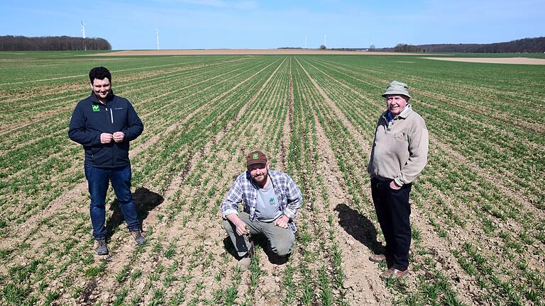 Gut zu erkennen sind im Winterweizenfeld von Bio-Landwirt Udo Rumpel (Mitte) die freigebliebenen Streifen, die Lerchenlinien. Naturland-Berater Stefan Veeh (links) und LBV-Kreisvorsitzender Harald Vorberg (rechts) unterstützen die Idee für mehr Lerchenschutz.