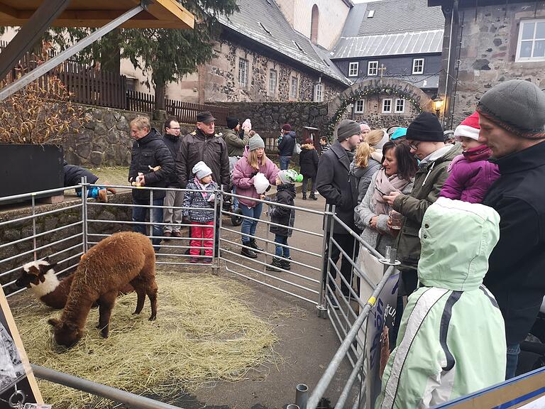 Die Alpakas aus Waldfenster harrten in ihrem Gatter aus. Gerne blieben die Besucher mit Kinder stehen und staunten über die kuschelig wirkenden Tiere. Die Alpakas aus Waldfenster harrten in ihrem Gatter aus. Gerne blieben die Besucher mit Kinder stehen und staunten über die kuschelig wirkenden Tiere.
