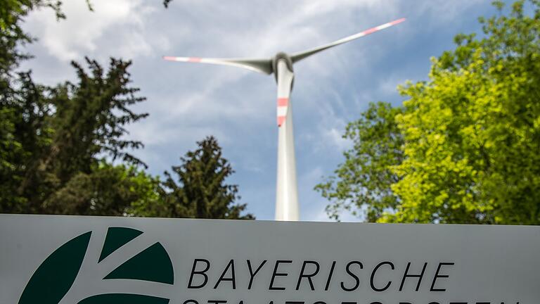 Windrad in den Staatsforsten       -  Die Staatsforsten planen den ersten Windpark, den das Unternehmen in Eigenregie betreiben will.