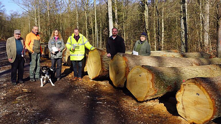 Bei der Submission auf dem Wertholzlagerplatz im Gramschatzer Wald. Von links: Heinz Wittstadt, Reinhard Heinrich, Annette Fricker, Thomas Eberth, Alexander Ringelmann und German-Michael Hahn.