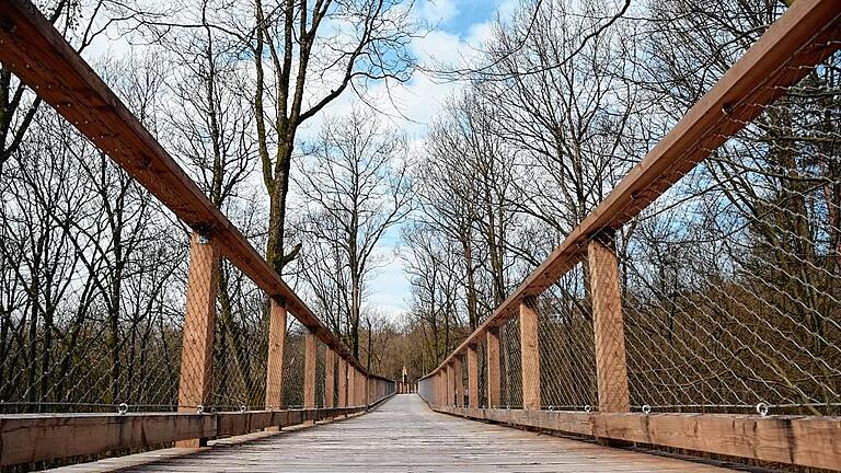 Bis zu 26 Meter hoch sind die Holzstege des Baumwipfelpfades bei Ebrach. Herzstück ist der 42 Meter hohe, kelchartige Aussichtsturm.