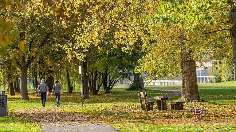 An den Mainwiesen im Würzburger Stadtteil Zellerau. Entlang des durchgehend ebenen Fußgängerweg, führt auch ein Radweg.