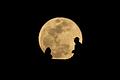 Looking in the moon       -  Runde Sache: Vollmond in Texas