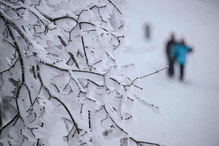 Inmitten der weißen Winterlandschaft fuhren Langläuferinnen und Langläufer am Sonntag in Richtung Wasserkuppe. Inmitten der weißen Winterlandschaft fuhren Langläuferinnen und Langläufer am Sonntag in Richtung Wasserkuppe. 