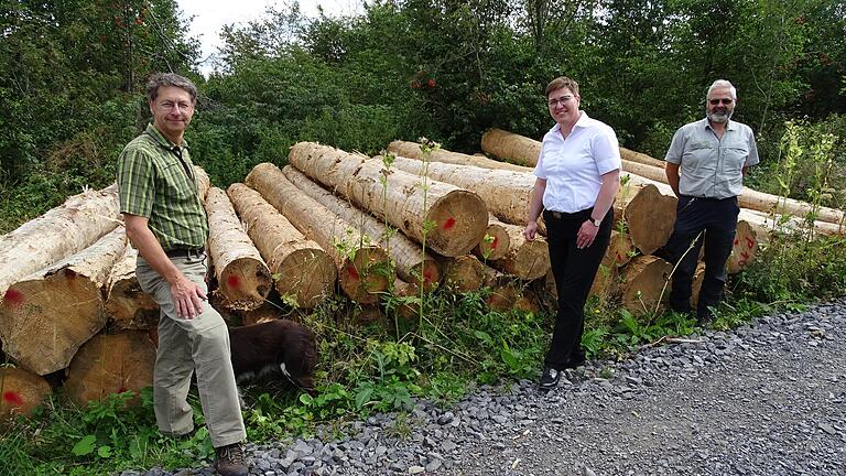 Sollen hier liegenbleiben: Forstdirektor Hubert Türich (von links), Oberelsbachs Bürgermeisterin Birgit Erb und den&nbsp; Oberelsbacher Revierförster, Mattias Schlund, begutachten einen der Totholz-Stapel an der Schornhecke.