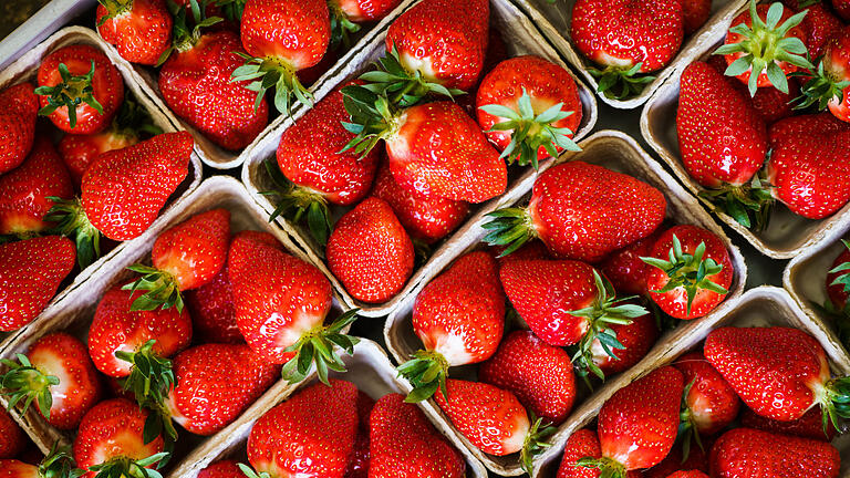 Erdbeeren       -  Erdbeeren sind häufig mit Pestiziden belastet.