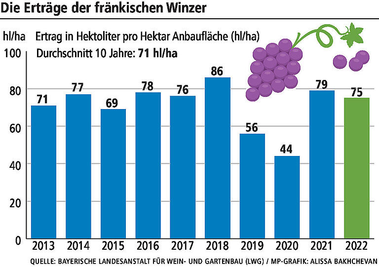 Erntebilanz der Winzer nach dem heißen Sommer: Wie es um den Frankenwein des Jahrgangs 2022 steht Erntebilanz der Winzer nach dem heißen Sommer: Wie es um den Frankenwein des Jahrgangs 2022 steht