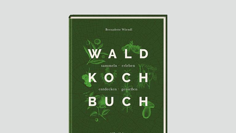 Buchcover „Das Wald-Kochbuch” - „Das Wald-Kochbuch: sammeln - erleben - entdecken - genießen”, Bernadette Wörndl, 184 Seiten, Hölker Verlag, 184 Seiten, 32 Euro, ISBN: 978-3881172295. Buchcover „Das Wald-Kochbuch” - „Das Wald-Kochbuch: sammeln - erleben - entdecken - genießen”, Bernadette Wörndl, 184 Seiten, Hölker Verlag, 184 Seiten, 32 Euro, ISBN: 978-3881172295.