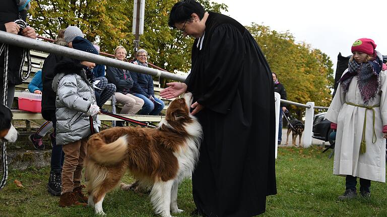 Mit den Worten 'Gott segne dich und schenke dir Wohlbefinden' segnete Pfarrerin Mirlein im Rahmen des Tiersegnungsgottedienstes jedes Tier.