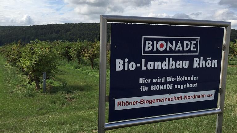 Rund um Ostheim wird Bio-Holunder für Bionade angebaut.