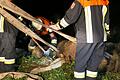 Die Einsatzkräfte ziehten 'Sissi' mit Feuerwehrschläuchen aus dem Morast. Vorher mussten sie allerdings noch ein Baumstumpf entfernen, der im Weg war.&nbsp;