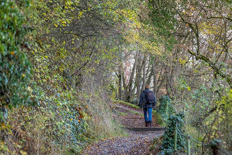 Unterwegs auf der Wandertour K2 in Karlstadt: Auf einem Waldweg geht es hoch zur Ruine Karlsburg. Unterwegs auf der Wandertour K2 in Karlstadt: Auf einem Waldweg geht es hoch zur Ruine Karlsburg.