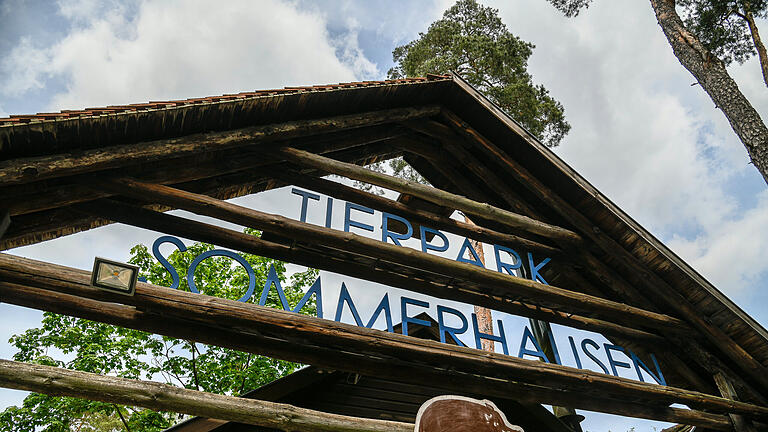 Der Tierpark Sommerhausen ist auch in vielfältiger Weise vom Coronalockdown betroffen. Trotzdem müssen die Tiere versorgt und gepflegt werden. Bei einem Rundgang bekommt man einen kleinen Einblick...