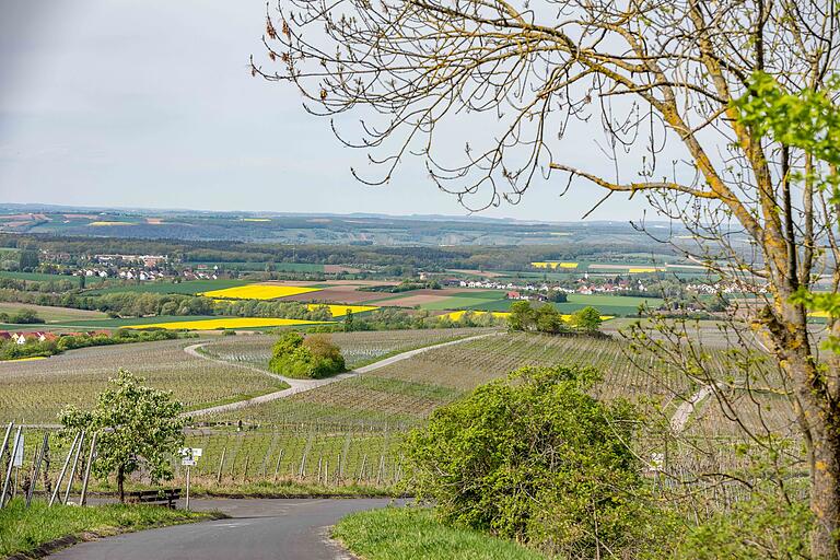 Zu jeder Jahreszeit schön: die Iphöfer Weinentdeckerrunde. Zu jeder Jahreszeit schön: die Iphöfer Weinentdeckerrunde. 