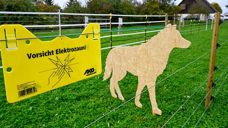 Elektrozäune sollen vor Wolfrissen schützen, jedoch gibt es bei ihrer Installation Einiges zu beachten, um den bestmöglichen Schutz zu garantieren.