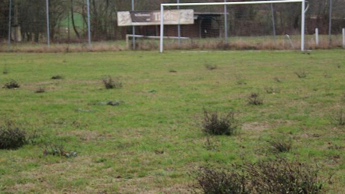 Früher gefürchtet, hat der &bdquo;Tivoli&ldquo; der Spfr. Holzhausen sowohl seinen Schrecken als auch den Glanz früherer Jahre verloren. Die Natur gewinnt die Oberhand.