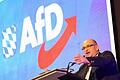 Auftakt Landesparteitag AfD Bayern       -  Spricht sich für eine Koalition von CDU/CSU und der AfD nach der Bundestagswahl aus: AfD-Landeschef Stephan Protschka. (Archivbild)
