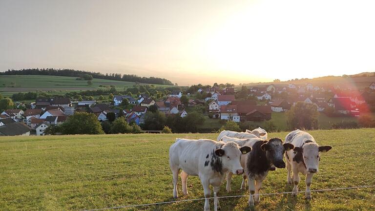 Die kleinste Gemeinde im Landkreis hat besonders viel Natur zu bieten, dafür gibt es wegen der hügeligen Lage wenig Gewerbeflächen. Foto: Julia Raab       -  Die kleinste Gemeinde im Landkreis hat besonders viel Natur zu bieten, dafür gibt es wegen der hügeligen Lage wenig Gewerbeflächen. Foto: Julia Raab