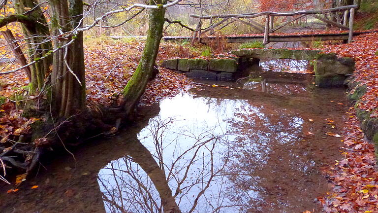 Der Bohlensteg im Naturschutzgebiet Hafenlohrtal wird von vielen Menschen für die Querung des Hafenlohrtals genutzt. Unterhalten wird er von der Aktionsgemeinschaft.