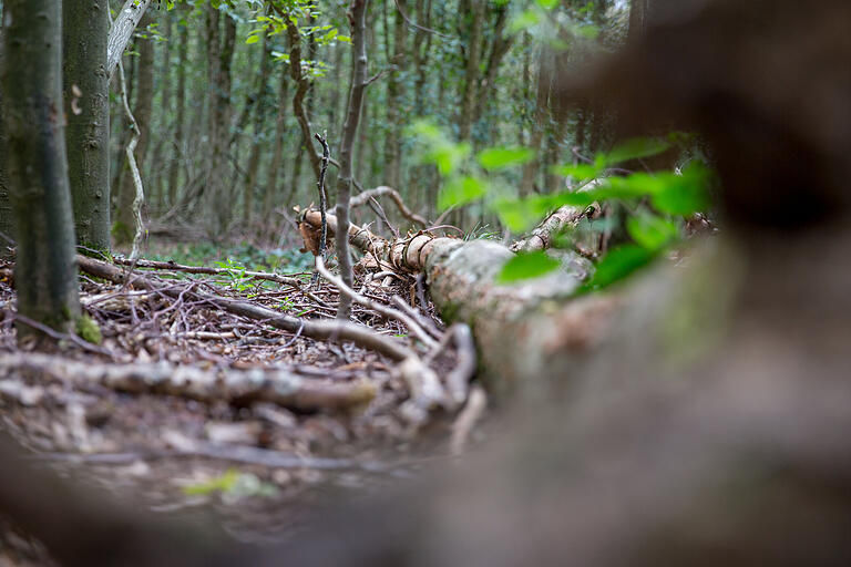 Je länger es trocken bleibt, desto höher ist auch die Waldbrandgefahr. Je länger es trocken bleibt, desto höher ist auch die Waldbrandgefahr.
