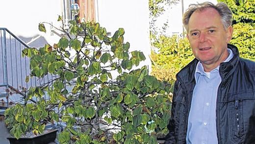 Begeisterter Bonsaizüchter: Peter Härterich, Bürgermeisterkandidat der SBD/SPD. Begeisterter Bonsaizüchter: Peter Härterich, Bürgermeisterkandidat der SBD/SPD.