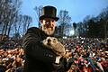 Murmeltiertag in den USA       -  Punxsutawney Phil, das wettervorhersagende Murmeltier, hat sechs weitere Wochen Winterwetter vorausgesagt.