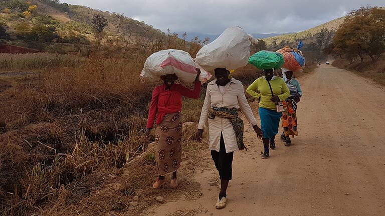 Frauen in Simbabwe haben schwere Lasten zu tragen, dabei seien sie das Rückgrat der Gesellschaft, sagt Christa Zöller. Sie unterstützt seit Jahrzehnten die Menschen in Simbabwe mit ihrem Verein.