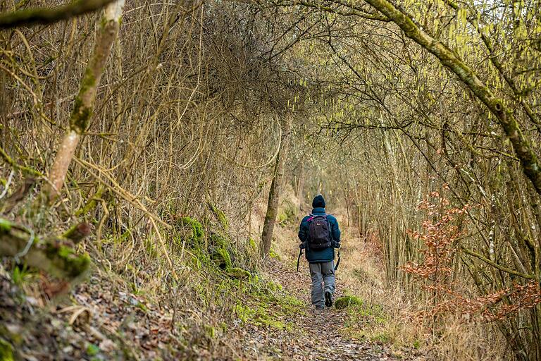 Wandern in der Natur fördert die Entspannung, verbessert die Stimmung, stärkt die körperliche Fitness und ermöglicht einen Ausgleich zum oft stressigen Alltag. Wandern in der Natur fördert die Entspannung, verbessert die Stimmung, stärkt die körperliche Fitness und ermöglicht einen Ausgleich zum oft stressigen Alltag.