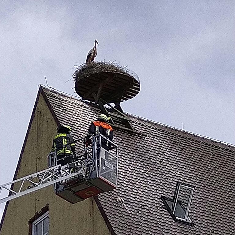 Tierrettung mit der Drehleiter: Die Feuerwehr Ebern holte den Jungstorch vom Dach, nachdem ein Elternteil ihn aus dem Nest geworfen hatte. Tierrettung mit der Drehleiter: Die Feuerwehr Ebern holte den Jungstorch vom Dach, nachdem ein Elternteil ihn aus dem Nest geworfen hatte.