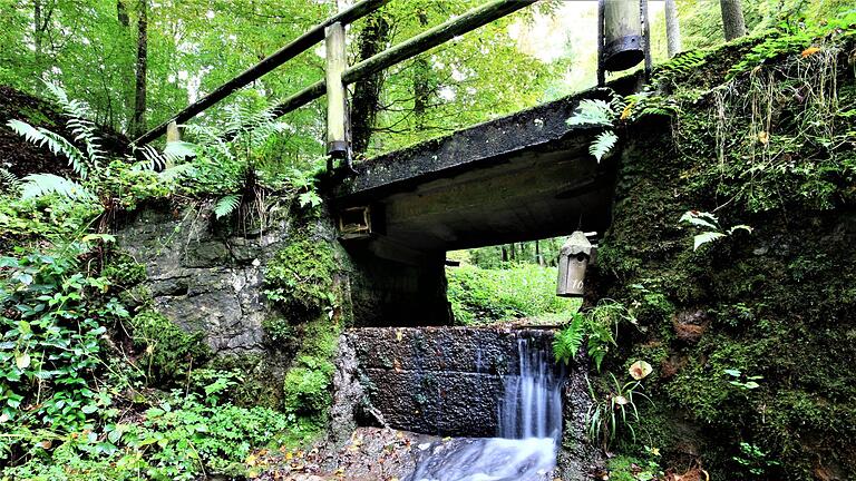 Das Kaskadental mit seinem wildromantischen Charakter führt vom Altenburger Haus zum Klaushof. Benedikt Borst       -  Das Kaskadental mit seinem wildromantischen Charakter führt vom Altenburger Haus zum Klaushof. Benedikt Borst