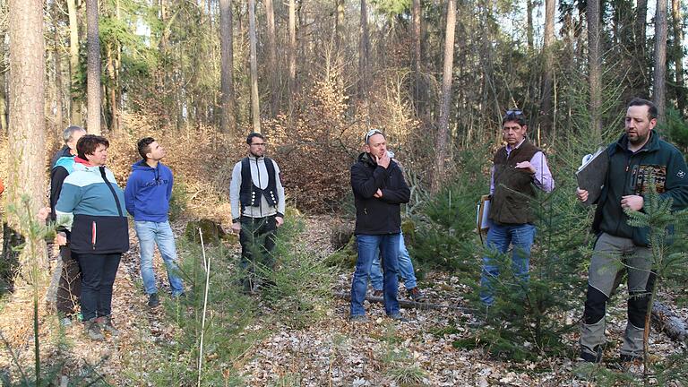 Auf rund sechs Hektar wurde jüngst eine Ergänzungspflanzung mit 17.000 Pflanzen durchgeführt, wies Wolf auf doch gewaltige Anfangsinvestitionen im Wald hin.       -  Auf rund sechs Hektar wurde jüngst eine Ergänzungspflanzung mit 17.000 Pflanzen durchgeführt, wies Wolf auf doch gewaltige Anfangsinvestitionen im Wald hin.