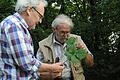 Brombeerforscher unter sich: Welche Art ist das?  FOTO Alois Wohlfahrt