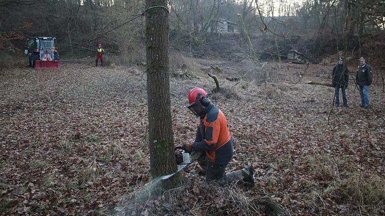 Bäume müssen weichen: Ein Forstunternehmen hat damit begonnen, in der ehemaligen Sandgrube bei Sendelbach den Großteil des Bewuchses zu entfernen. Entstehen soll nach Vorstellung des städtischen Umweltreferenten Manfred Wirth und des Naturschutz-Experten Torsten Ruf ein sonniger Sandlebensraum.