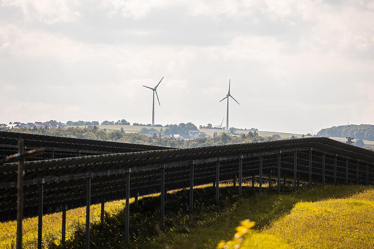 Neue Klimaschutzmanagerin des Landkreises Haßberge: 'Klimaschutz muss Spaß machen'