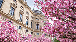 Einige Menschen tummeln sich am Sonntag (13.04.25) im Hofgarten der Residenz in Würzburg. Die Kirschblüte lockt jedes Jahr im April viele Besucher in die Gartenanlage.