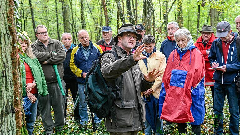 Beim Waldspaziergang erklärte Revierförster Wolfgang Schölch interessierten Bürgern, was zu tun ist, um den Ochsenfurter Forst für den Klimawandel zu wappnen. Beim Waldspaziergang erklärte Revierförster Wolfgang Schölch interessierten Bürgern, was zu tun ist, um den Ochsenfurter Forst für den Klimawandel zu wappnen. 