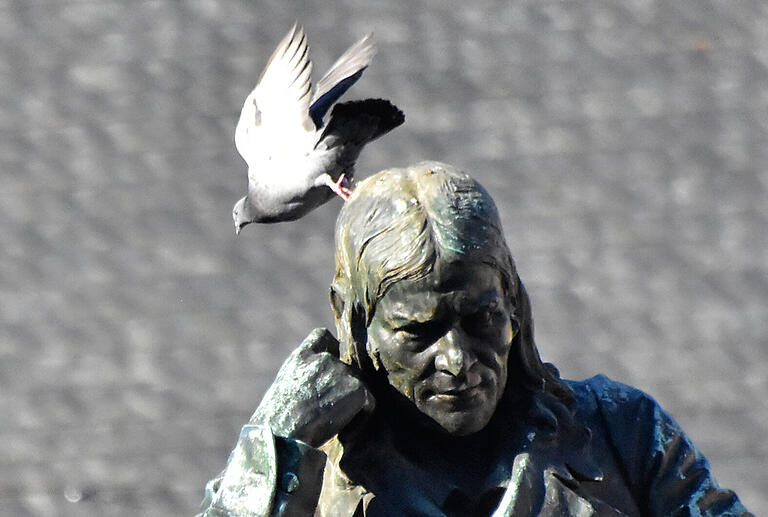 Was Friedrich Rückert über das Thema Taubenfüttern denkt, wissen wir nicht. Dass so manche Stadttaube sein wertes Haupt am Marktplatz als Startplatz verwendet, ist dagegen gesichert.