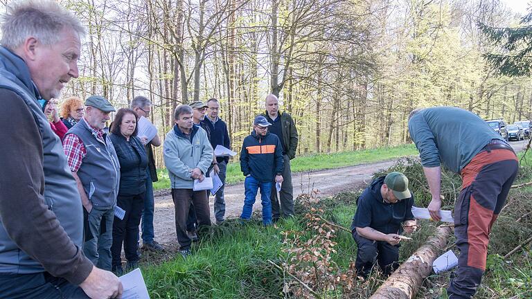 Waldbegang des Gemündener Stadtrates: Fichtenstamm als Anschauungsexemplar für Borkenkäferbefall. Waldbegang des Gemündener Stadtrates: Fichtenstamm als Anschauungsexemplar für Borkenkäferbefall.