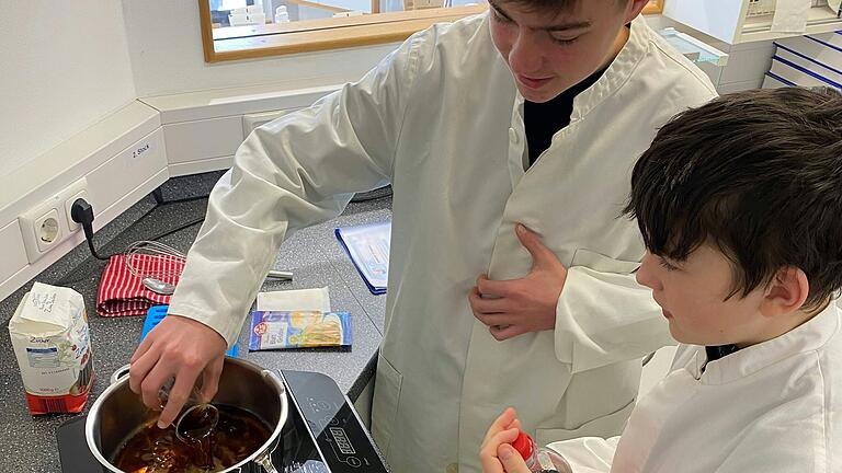 Drei Schüler verbrachten den Boys' Day in einer Apotheke. Das Foto zeigt Gregor Eckert und Tom Hudzick beim Experimentieren.