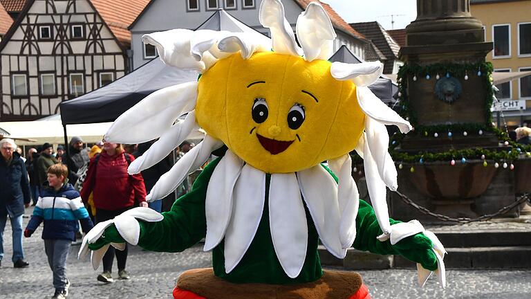 Mit Tommy der Sonneblume kam ein Hauch von 'Vorsommer-Feeling' in die Stadt Mit Tommy der Sonneblume kam ein Hauch von 'Vorsommer-Feeling' in die Stadt