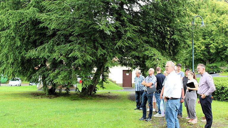 Der Gemeinderat Nordheim machte sich ein Bild von der Parkanlage in Neustädtles. Besonders die Bäume - allesamt Flachwurzler - bereiten Probleme.