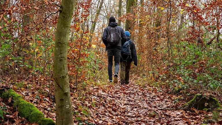 Briefe an die Redaktion: Gedanken aus dem Jahr 2023 zum Buchen-Nationalpark Steigerwald Briefe an die Redaktion: Gedanken aus dem Jahr 2023 zum Buchen-Nationalpark Steigerwald